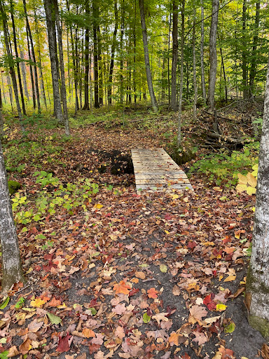 Tanton Family Working Forest Reserve - Mountain Bike Trails Gallery - United States