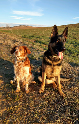 Clínica Veterinaria Barajas
