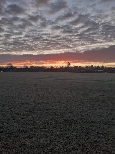 Cobham - Holly Hedge Car Park - Thumbnail