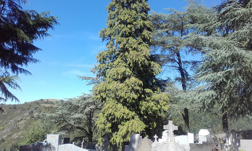 Cimetière de Saint-Victor sur Loire - France