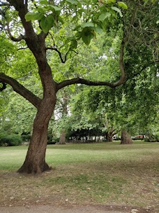 Lincoln’s Inn Fields Campus london