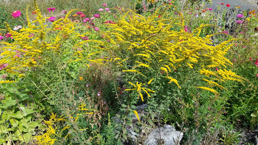 Inspiration Garden