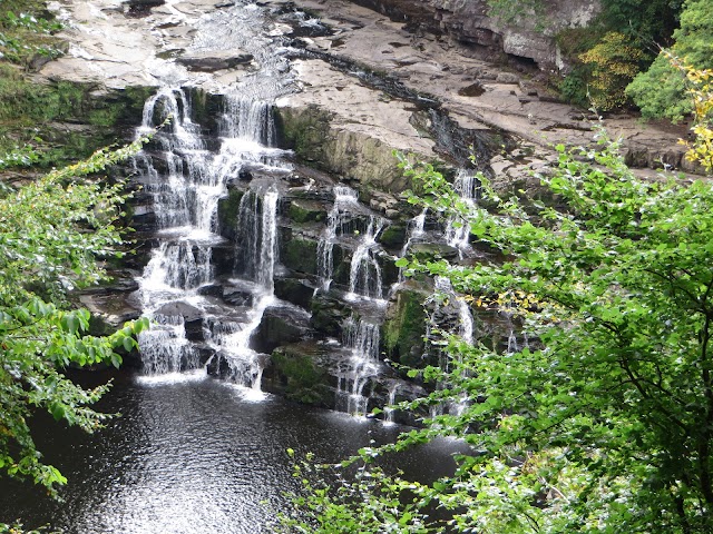 Scottish Wildlife Trust - Falls of Clyde Visitor Centre and Wildlife Reserve