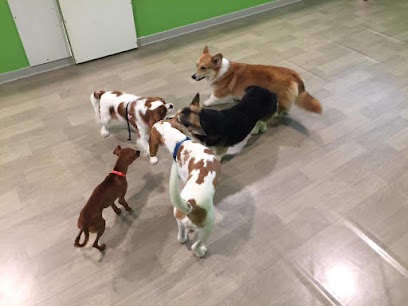 L'Oasi di Camillo & Milly