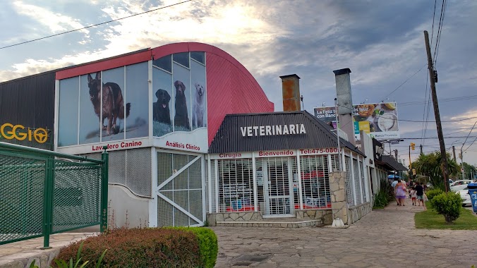 clinica veterinaria laika, Author: Ornela Ayelen