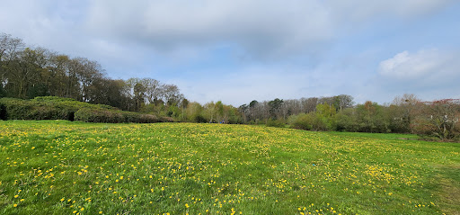 Earlswood Park