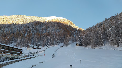 Villa Alpenrose - Thumbnail