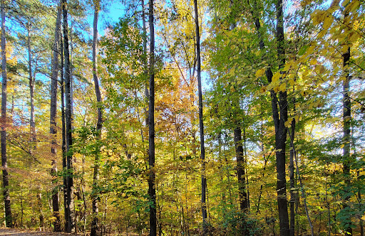 Robert V Godbold Park - Thumbnail