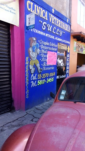 CLINICA VETERINARIA SULLY Logo