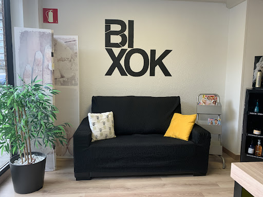 Bixok ileapaindegia Gallery - Spain