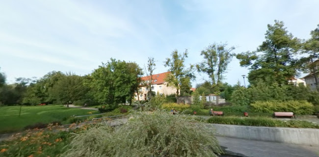 Komentarze i opinie o Park Kajki w Elblągu
