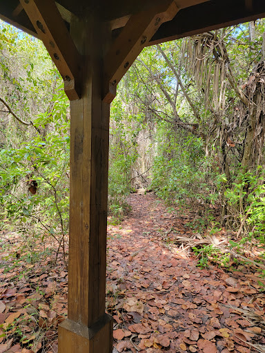 Munyon Island Mangrove Trail - Thumbnail