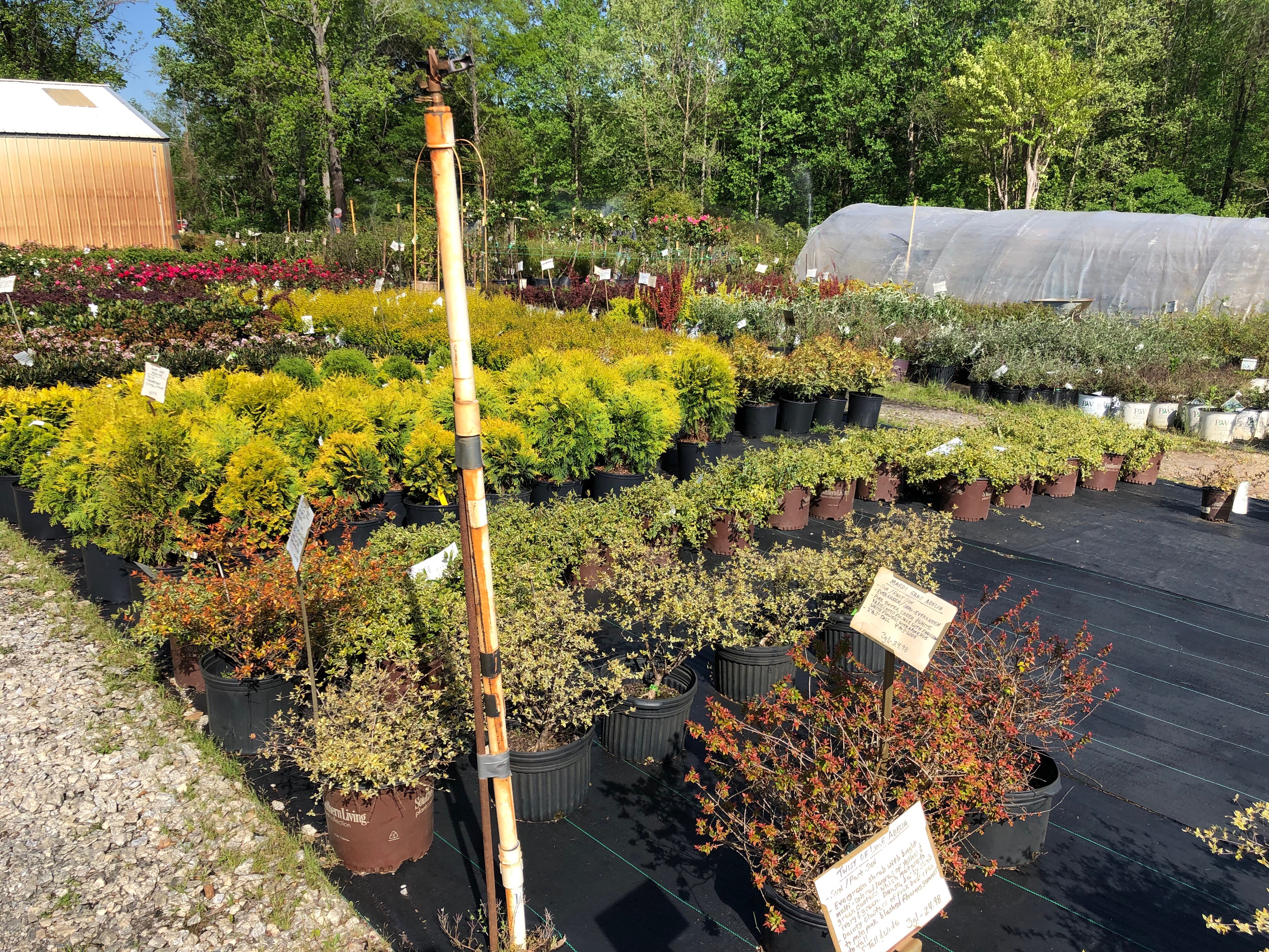 Twin Bridge Nursery