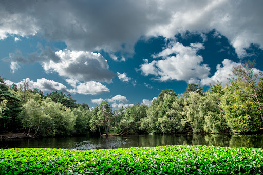 Heath Pool - Visual