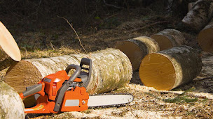 Photo n°2 de SCB PAYSAGES à Les Mages (Paysagiste)