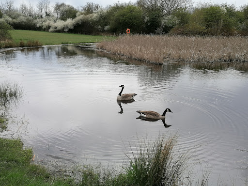 Rushley Park - Visual