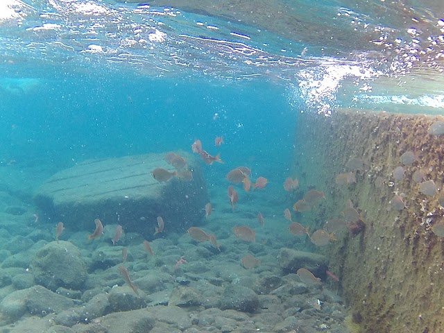 Los Charcones De Bañaderos