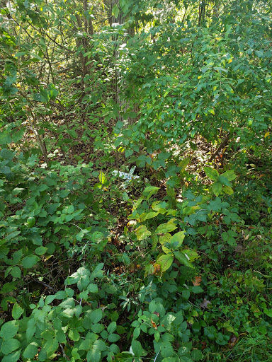 Hopewell Indian Mounds - Thumbnail