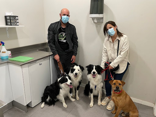 Clínica Veterinaria Xarope