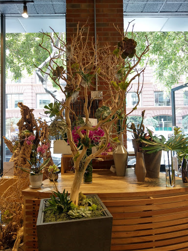 San Francisco Florist - Thumbnail