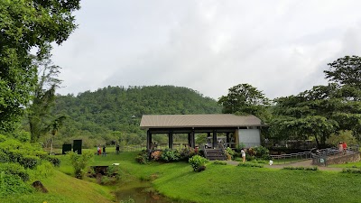 Photos of Labugama Kalatuwawa Forest Reserve