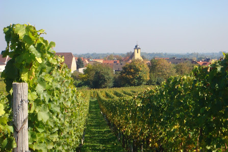 Weingut Wolf - Bad Dürkheim