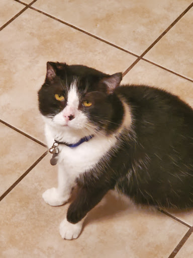 Chaffee Veterinary Clinic - Thumbnail