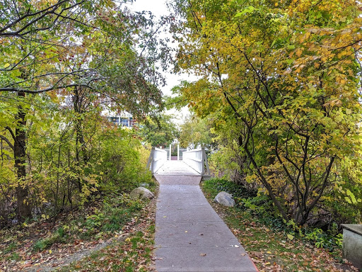 Library Bridge - Visual