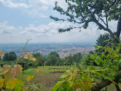 Agriturismo Altavista - Thumbnail