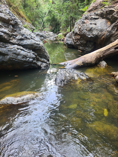 Northbrook Gorges - Thumbnail