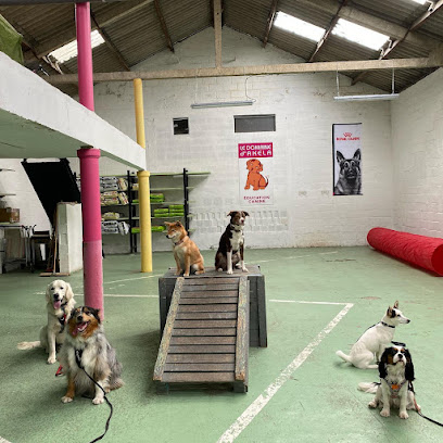 Le Domaine d’Akela