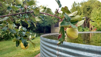 Photos of Mission Resort