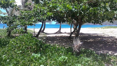 Photos of Sandy Beach