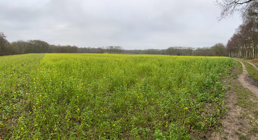 Goois Natuurreservaat Naarder Eng - Thumbnail