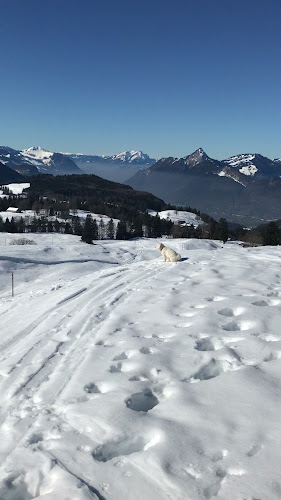 Rezensionen über Clubhaus Eseltritt in Schwyz - Hotel