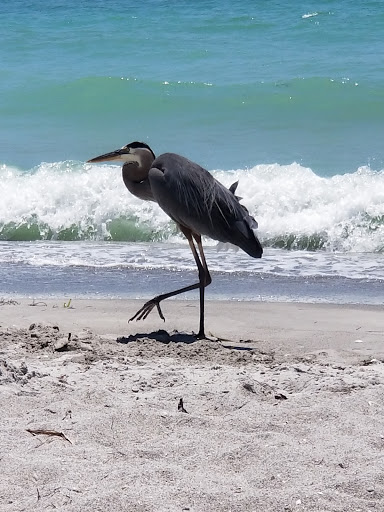 Public Beach Access Location - Thumbnail