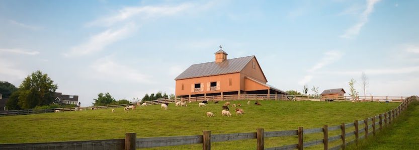 Quarry Hill Farm 620 Quarry Rd, Lower Salford Township, PA 19438