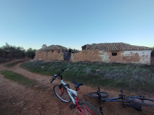 Olivas Casa Canastos