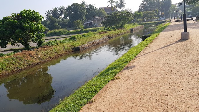 Kimbulawala Walk Way, Author: Ratna Kariyawasam