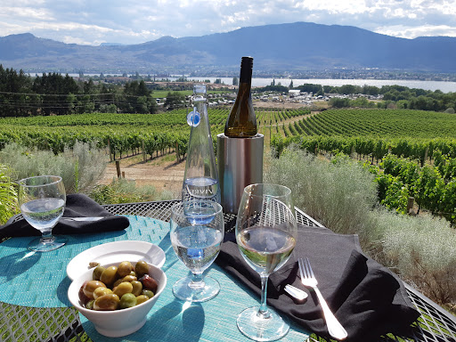 NK'MIP Cellars - Visual