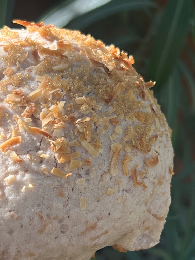 Bread Tabachines - Visual