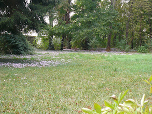 Photo n°16 de Château de Beaudéduit à Saint-Quintin-sur-Sioule (Lodge)