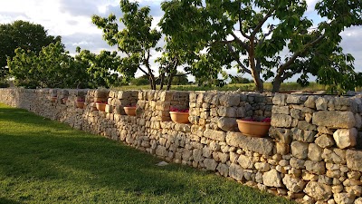 Photos of Masseria Del Crocifisso