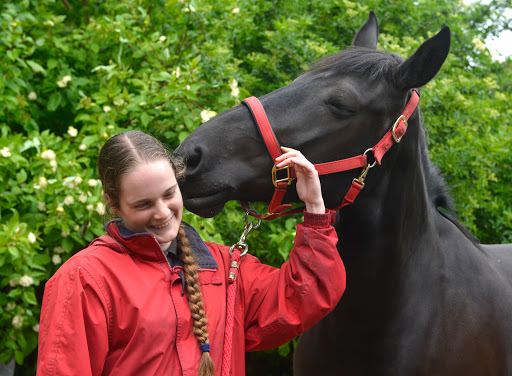 Kingston Maurward Equestrian - Thumbnail