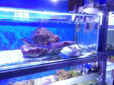 Photos of Acuario Triple AAA