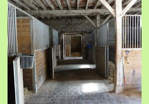 Photo n°9 de HARAS DU BREAU à Blennes (Éleveur)
