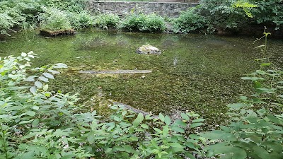 Long Branch Nature Center & Park