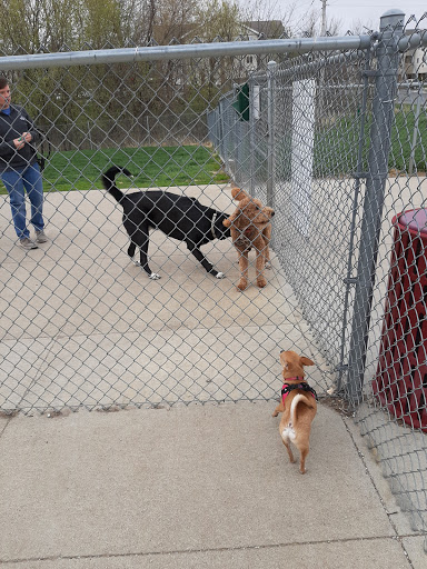 Ames Dog Park - Thumbnail
