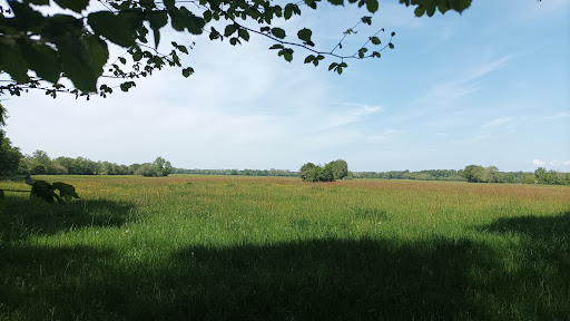 Les Barthes de Rivière-Saas-et-Gourby