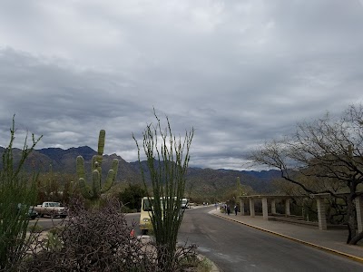 Photos of Sabino Canyon Tours